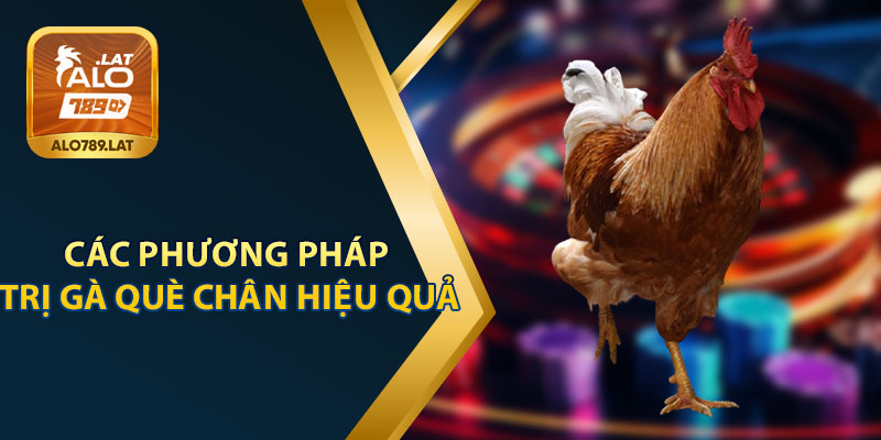 Các Phương Pháp Trị Gà Bị Què Chân Hiệu Quả