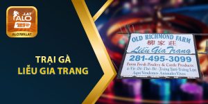 Trại Gà Liễu Gia Trang