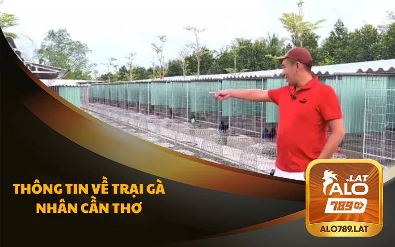 Thông tin chi tiết về trại gà Nhân Cần Thơ