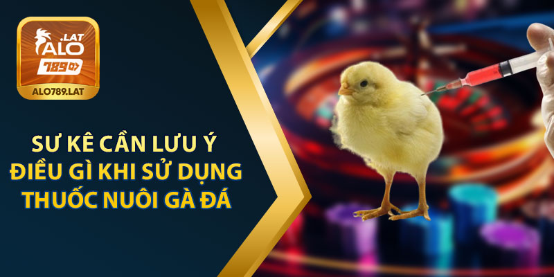 Sư Kê Cần Lưu Ý Gì Khi Sử Dụng Thuốc Nuôi Gà Đá