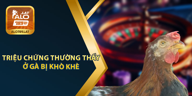 Triệu Chứng Thường Thấy Khi Gà Bị Khò Khè